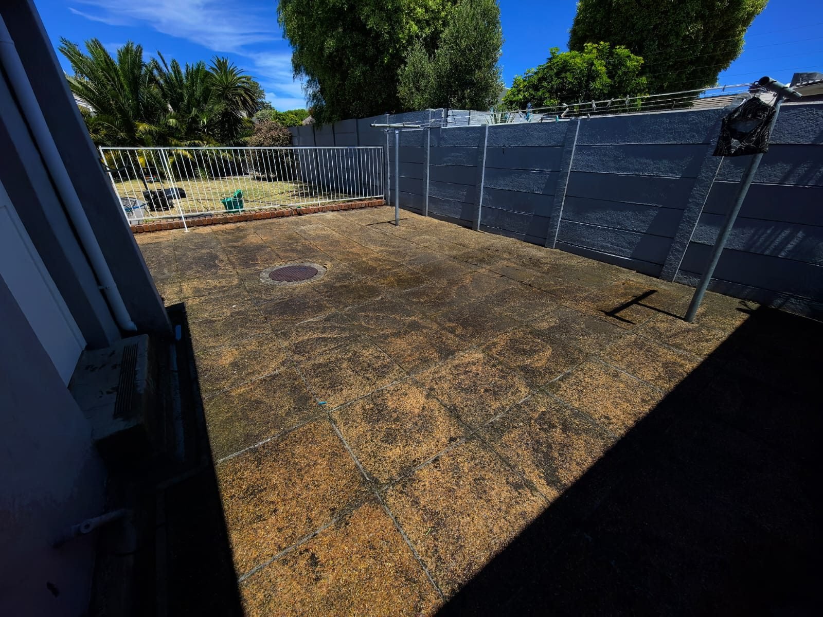 Before softwash — algae covered paving in Edgemead